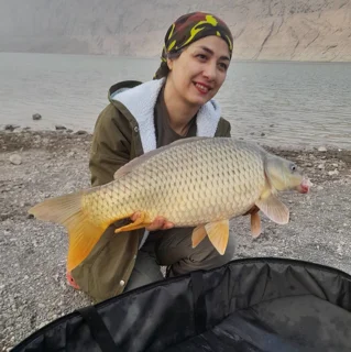 سارینا محمدی