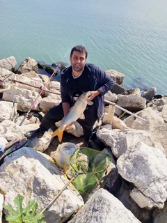کیومرث خزاعی