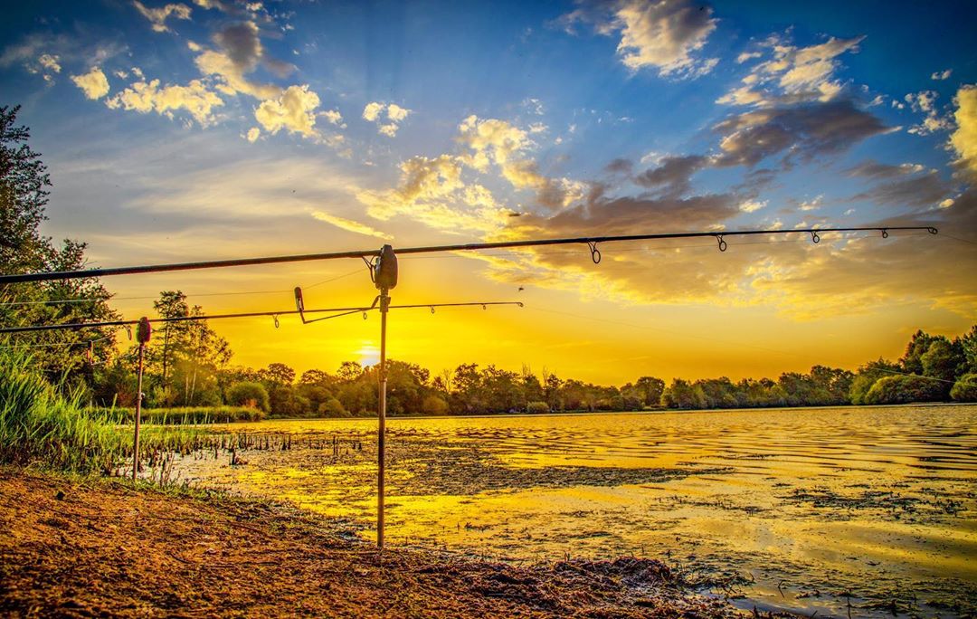 صيد كپور در پاييز