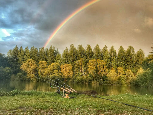 طعمه های پاییزی