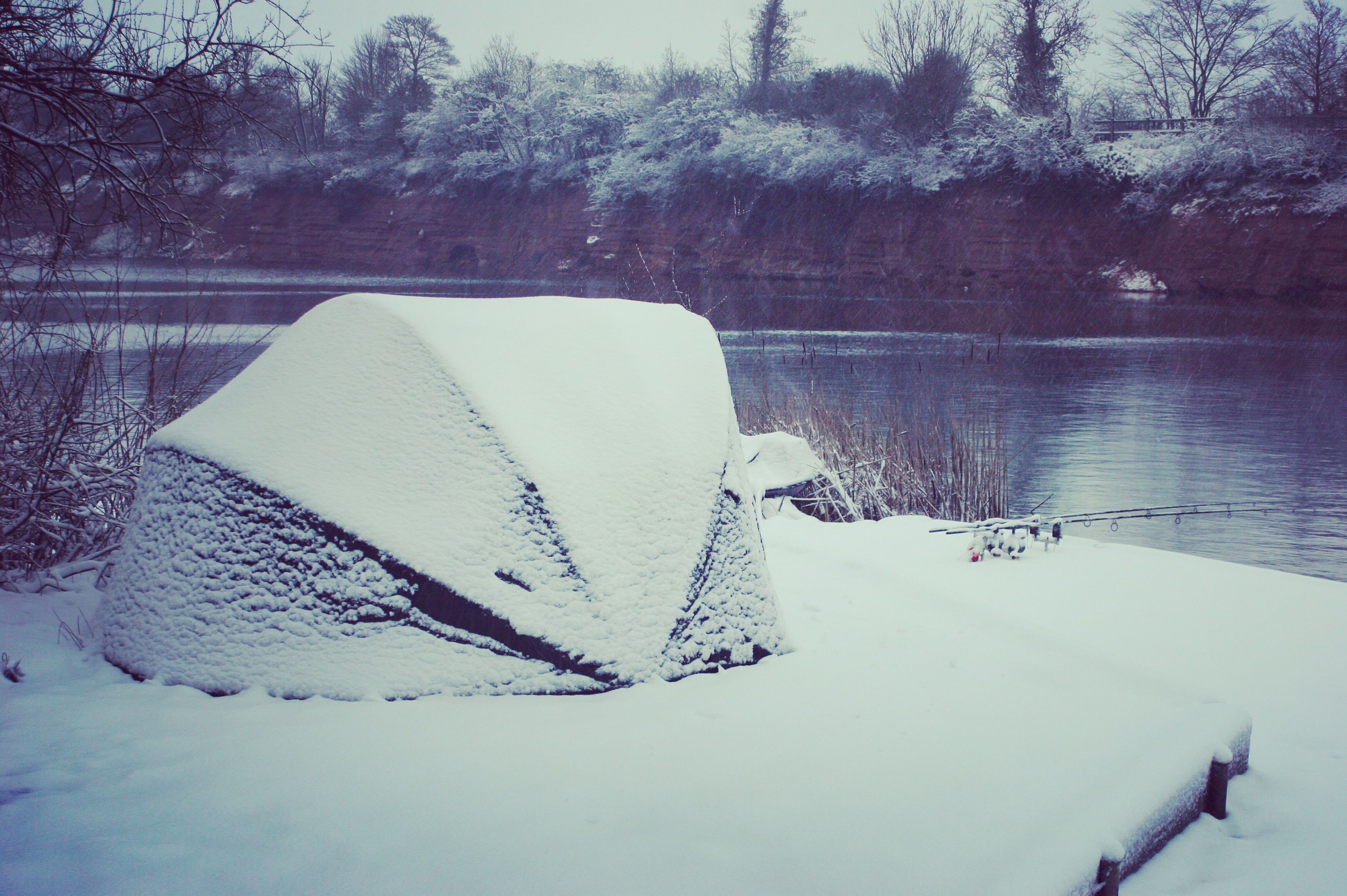 در زمستان كجا بدنبال كپورها باشيم