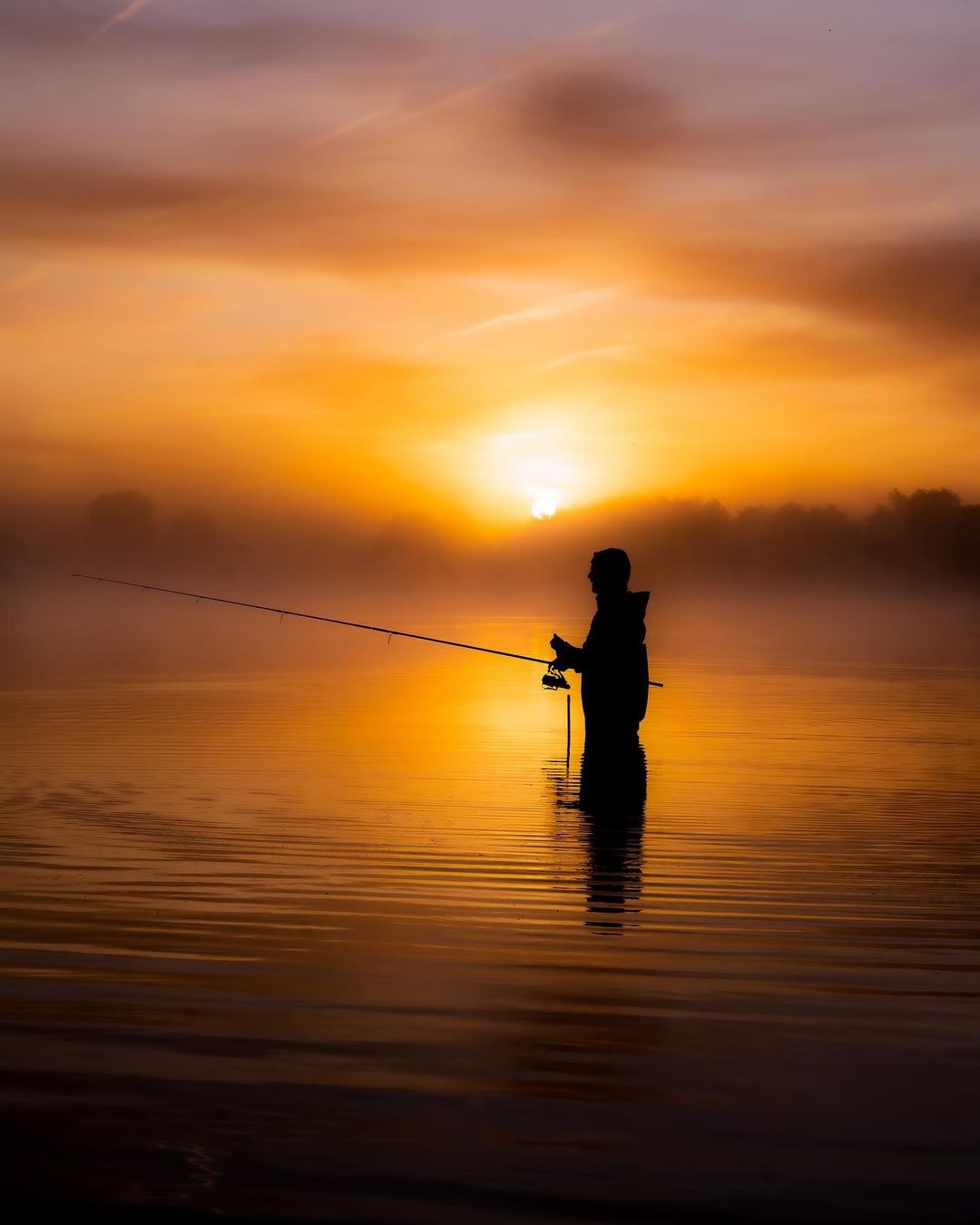 رفتار كپورها در طول زمستان