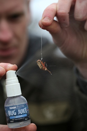 ٢٠ نكته مهم كپورگيرى