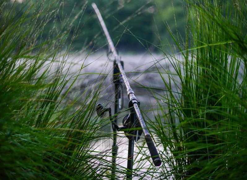 چوب و چرخ کپوری