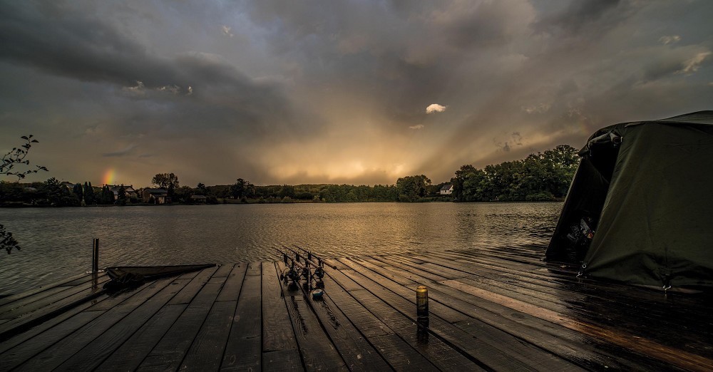 قدرت دانه ها و غلات!