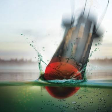 ۲۵ نکته طعمه پاشی موفق