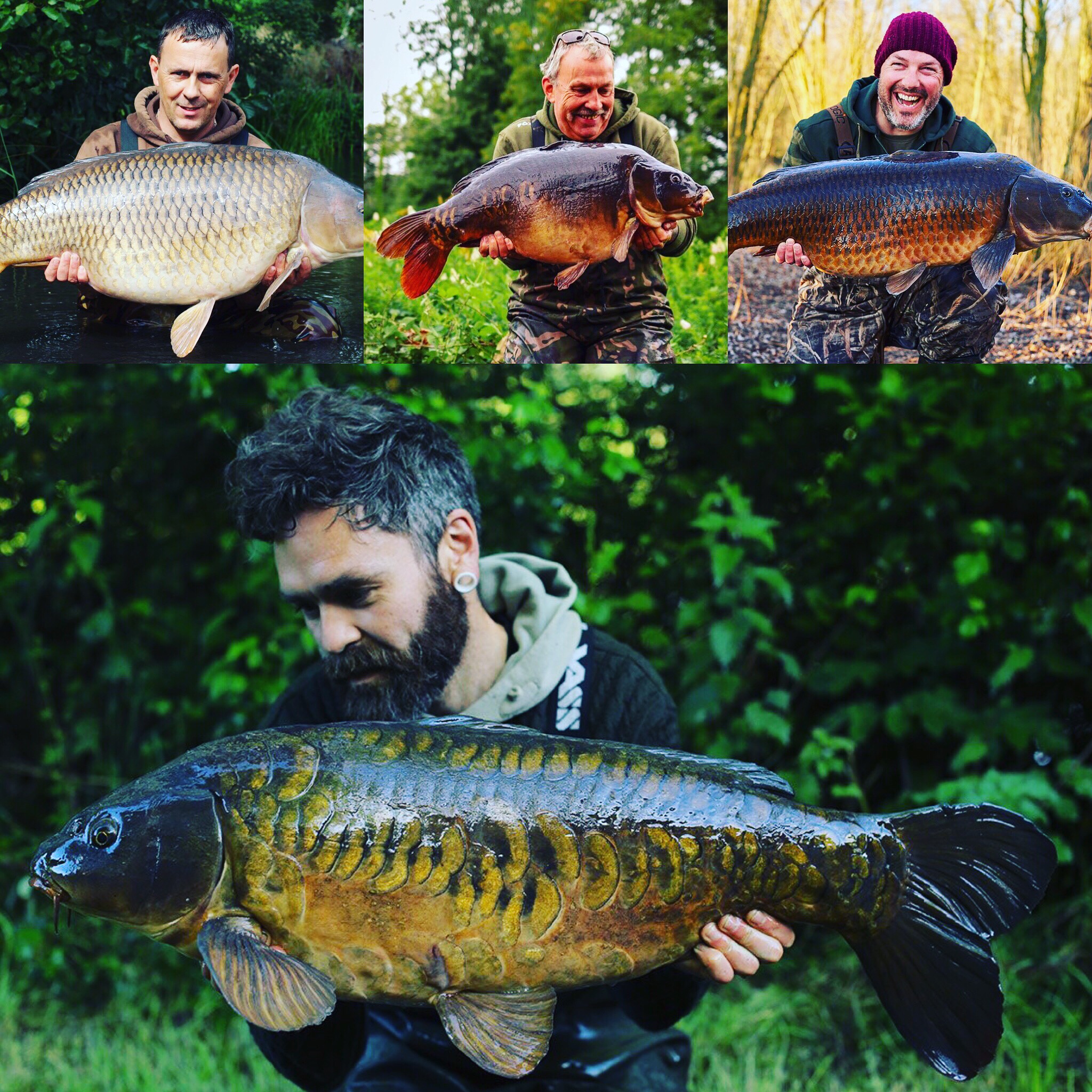 بهترين هوكبيت در فصل بهار