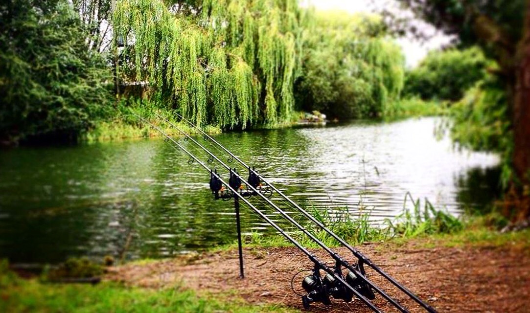 مكانيابى كپور در بهار