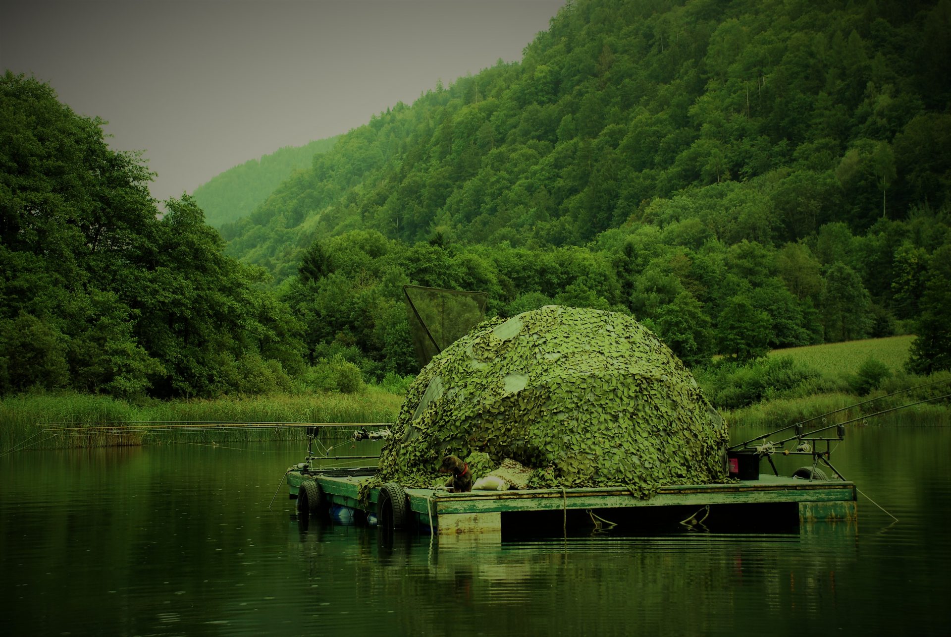 طعمه هاى سرى حرفه اييها