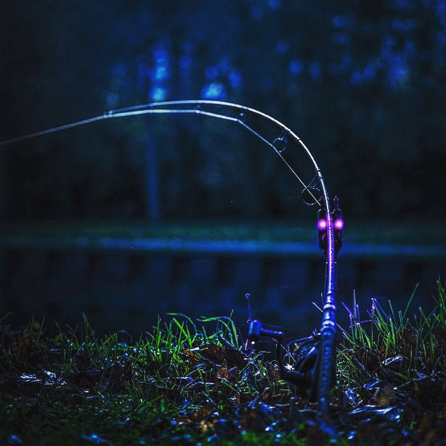 تشخیص مسیر کپورها