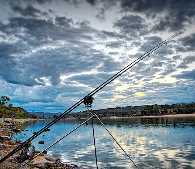 رودخانه‌های پر لجن