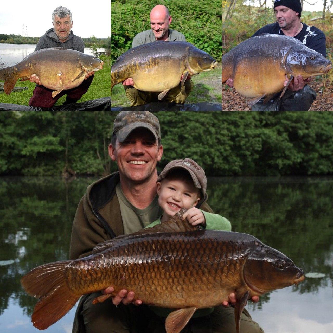 متعادلسازى هوكبيت