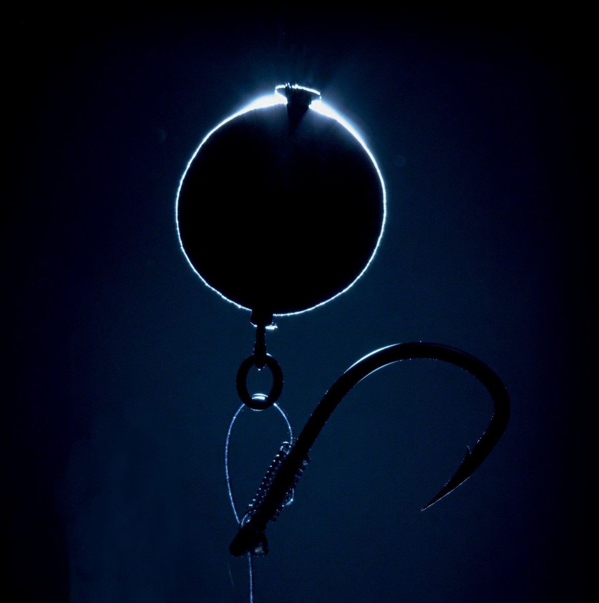 طعمه پاشى زمستانى