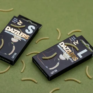 DAZZLERS MAGOLINER CURVE